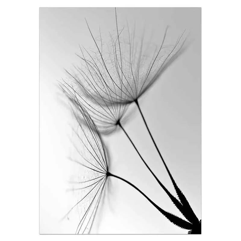 Black White Dandelion Flower Wall Art Prints And Poster Nordic Living Room Wall Art Decorative Canvas Paintings For Home Decor