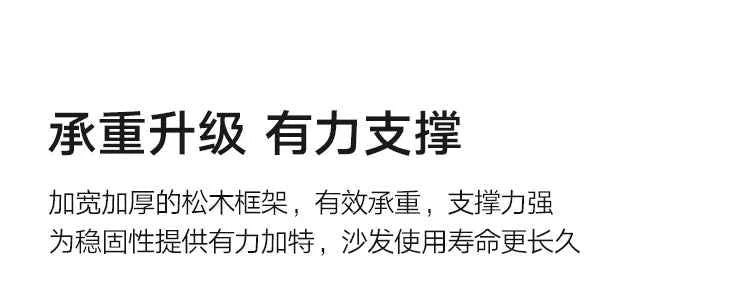 Minimalist Multifunctional Sofas Living Room Modern Classic Lazy Sofas Comfortable Apartment Meuble De Salon Home Decoration