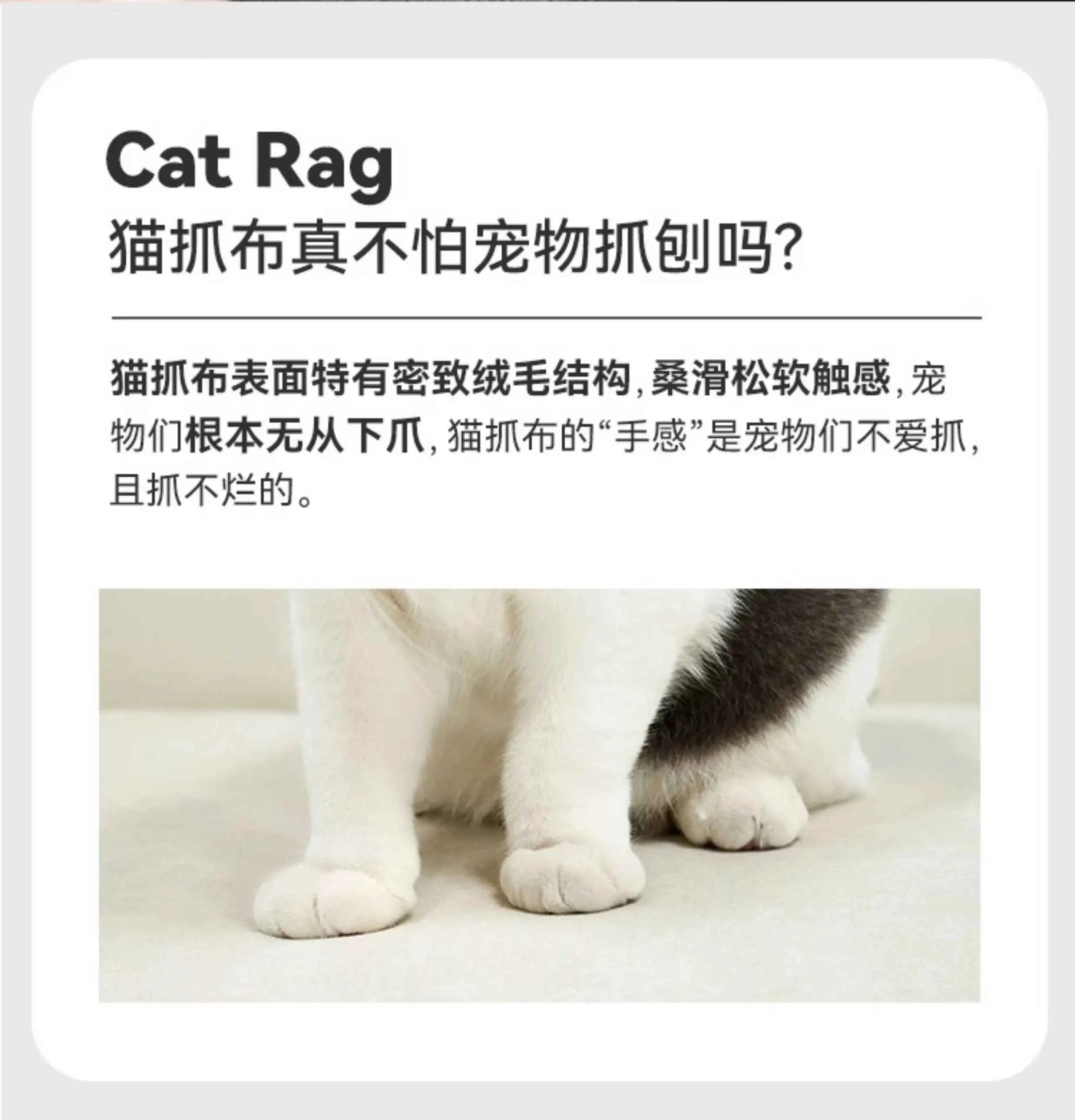 Minimalist Background Sofas Classic Family 2 Seater Relaxing Sofa Sectional Office Muebles Para El Hogar Living Room Furniture